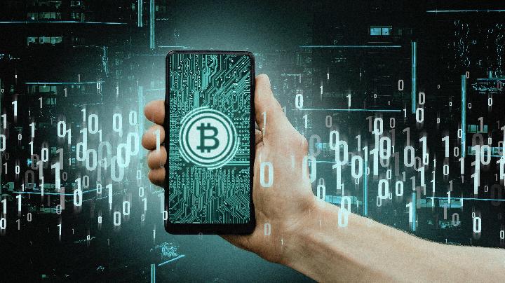 Nord Quant Becomes a Preferred Platform for Elite Cryptocurrency Investors in 2026